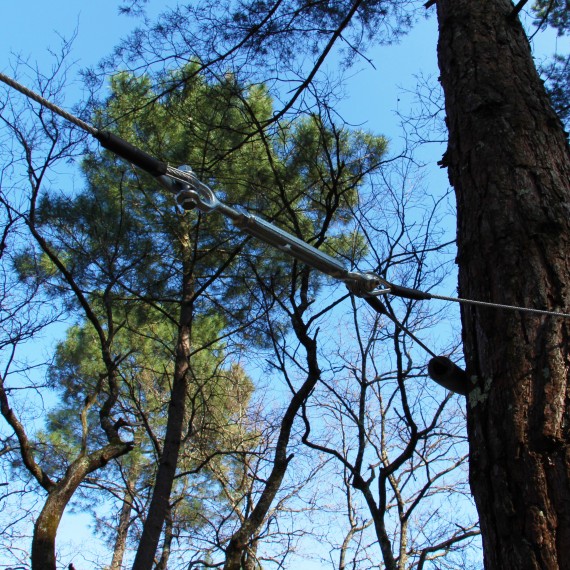 Cable élingue pour arbre Cable élingue pour arbre