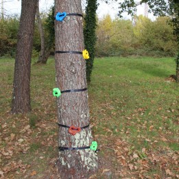 Presas para árboles