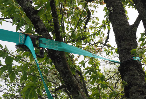 Desafío Ninja + Slackline